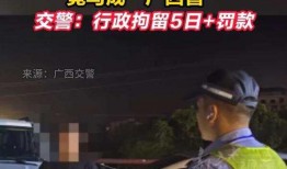 白宇代驾最新爆料新闻事件,最新爆料揭露惊人内幕